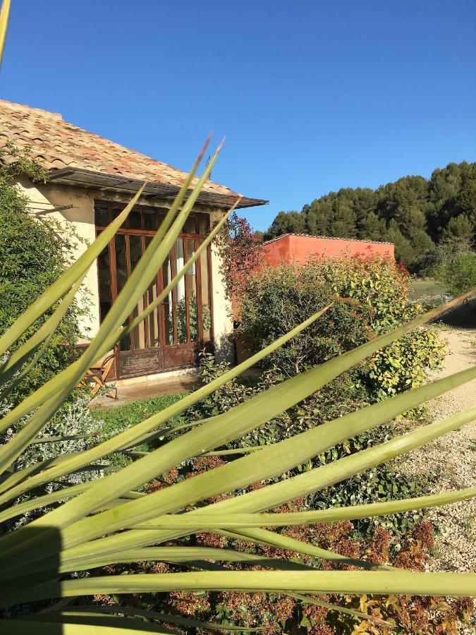 Apartment Du Gargas (Vaucluse)