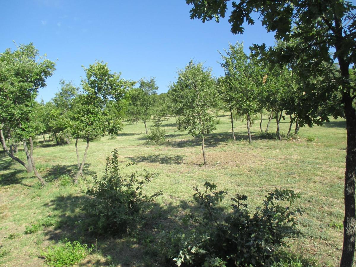 Du * Gargas (Vaucluse)