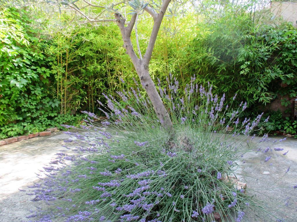 Du Apartment Gargas (Vaucluse)